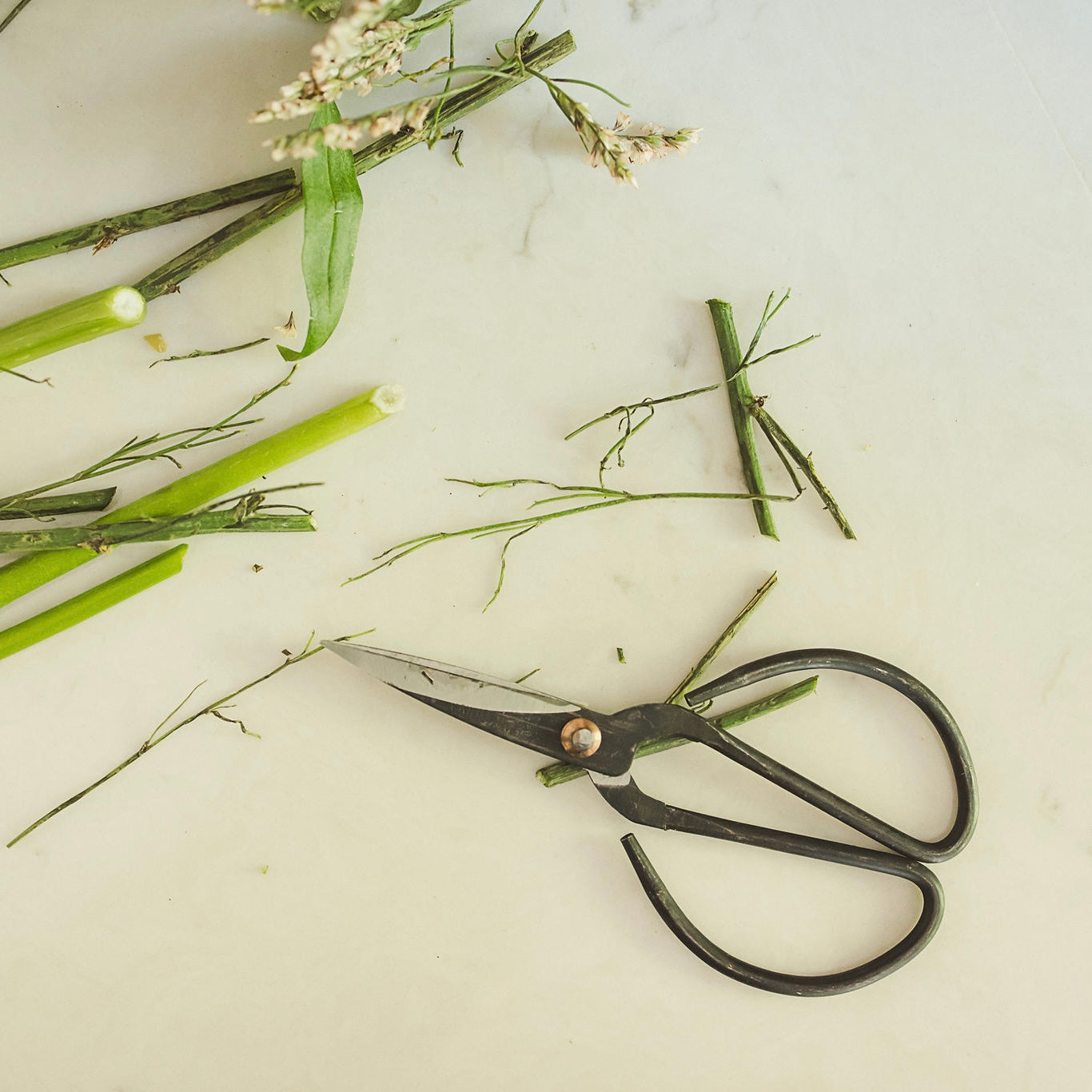 Black Forged Scissors