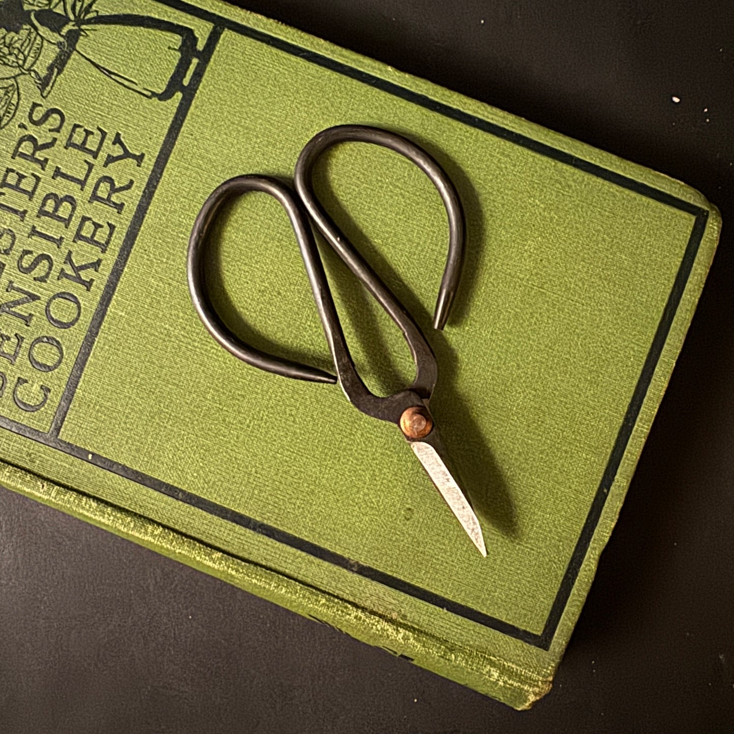 Black Forged Scissors
