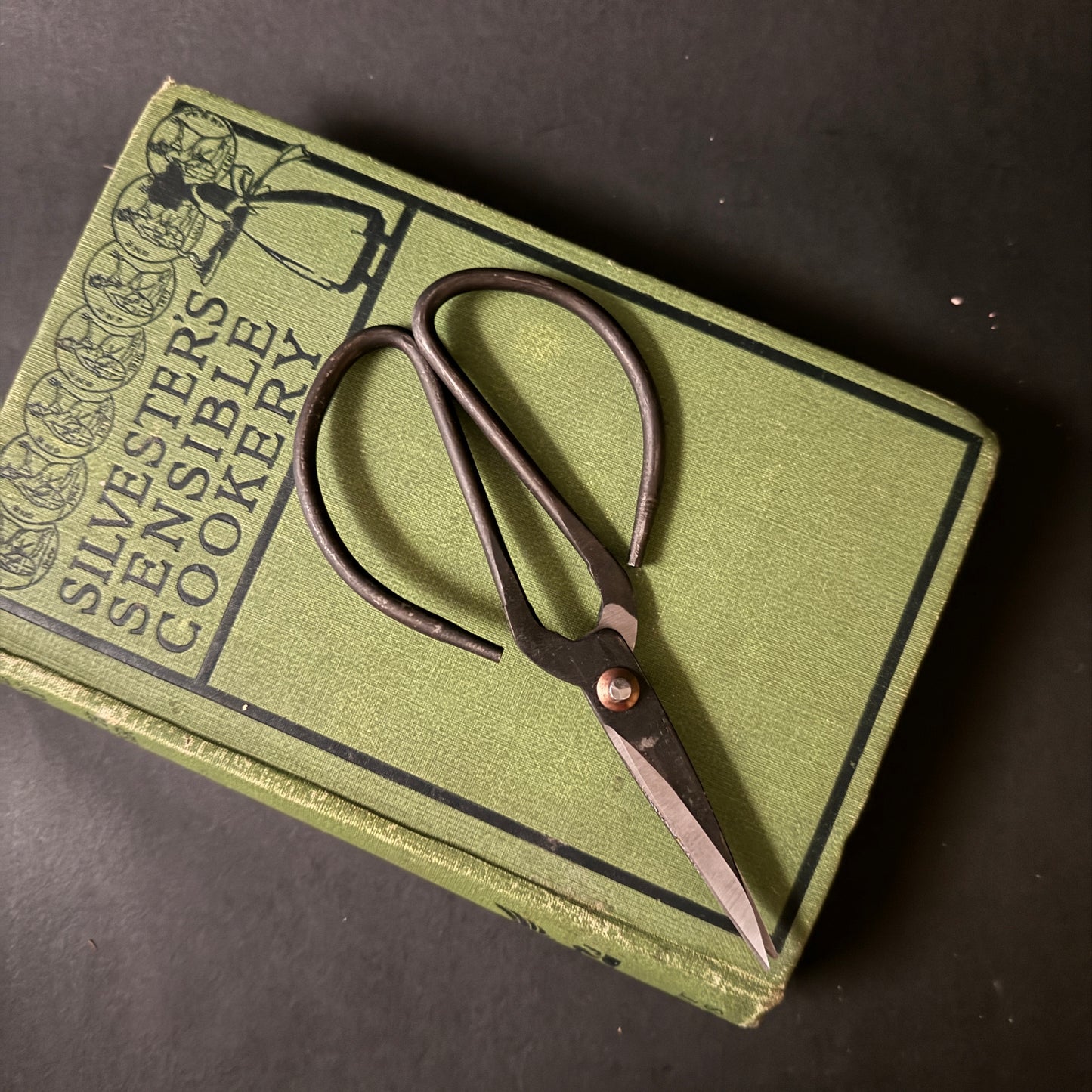 Black Forged Scissors