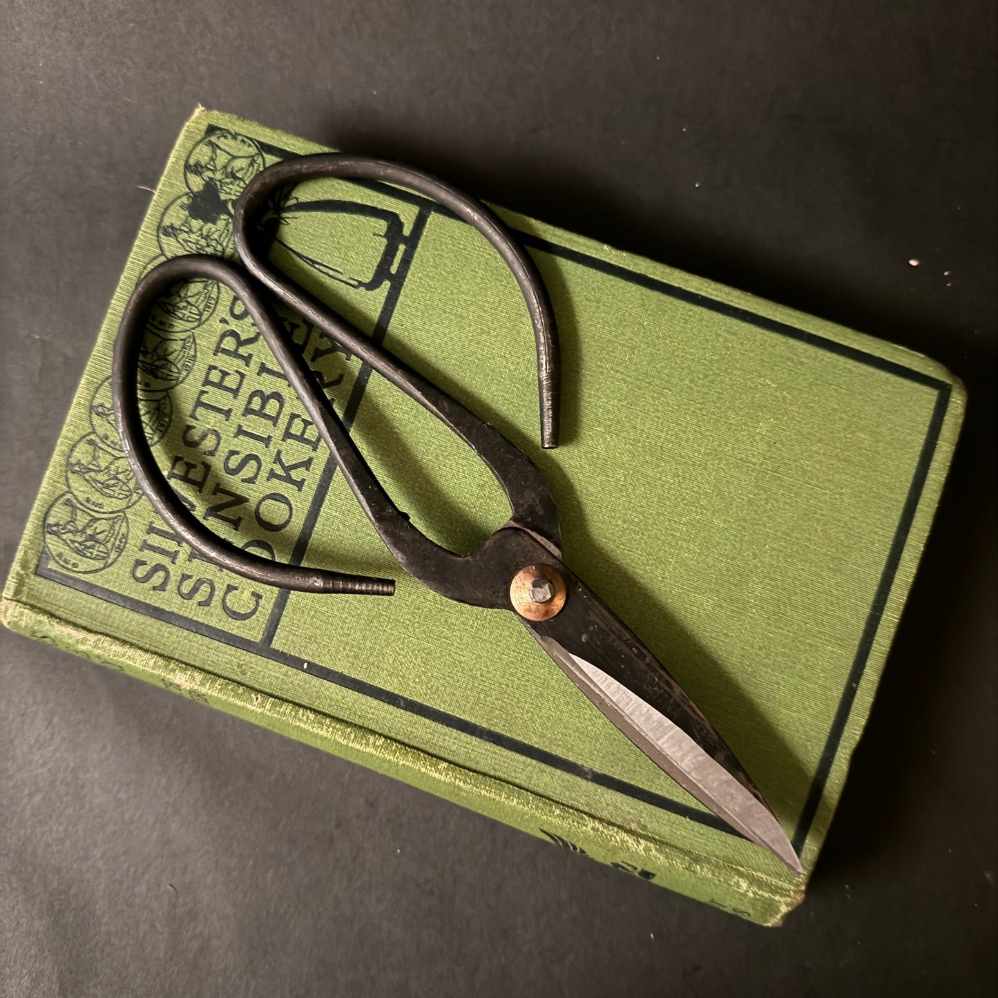 Black Forged Scissors