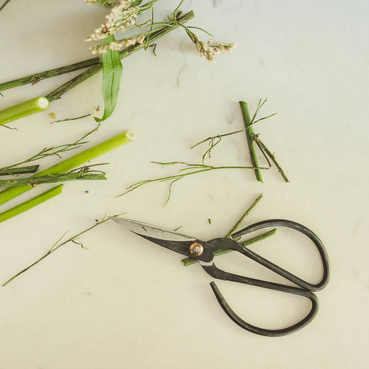Black Forged Scissors
