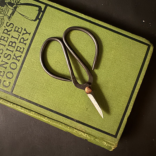 Black Forged Scissors